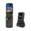 Feature Phone Powertech Sentry 4G Dual-Sim Black EU