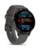 Garmin Watch Venu® 3S 41mm Slate/Pebble Grey EU