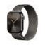 Apple Watch (Series 10 2024) Gps +Cellular 42mm Slate Titan με Slate Milanese Loop EU