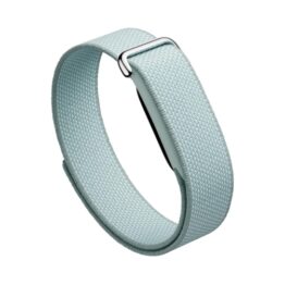 Google Pixel Watch Fitbit Air Fog EU