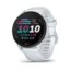 Garmin Watch Forerunner® 70 Whitestone EU