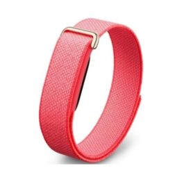 Google Pixel Watch Fitbit Air Berry EU
