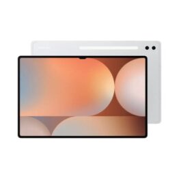 Samsung Galaxy Tab S10 Ultra (X920B 2024) 14.6 WiFi 1TB (16GB Ram) Platinum Silver EU
