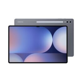 Samsung Galaxy Tab S10 Ultra (X926B 2024) 14.6 5G 256GB (12GB Ram) Moonstone Grey EU