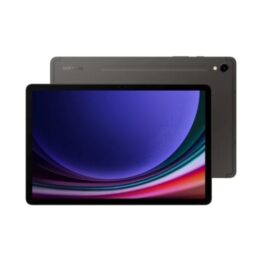 Samsung Galaxy Tab S9 (X716B 2023) 11.0 5G 256GB (12GB Ram) Graphite EU